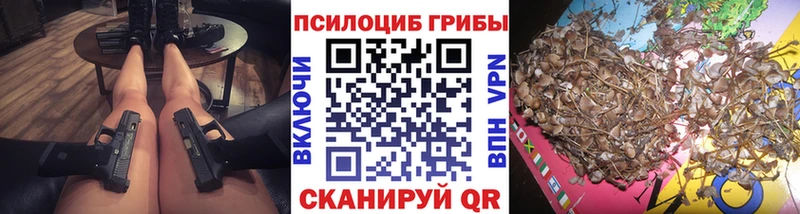 Псилоцибиновые грибы Magic Shrooms  Ртищево 